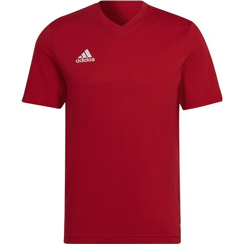 HERREN FANSHIRT ENTRADA 22 (NORMAL & LANG)