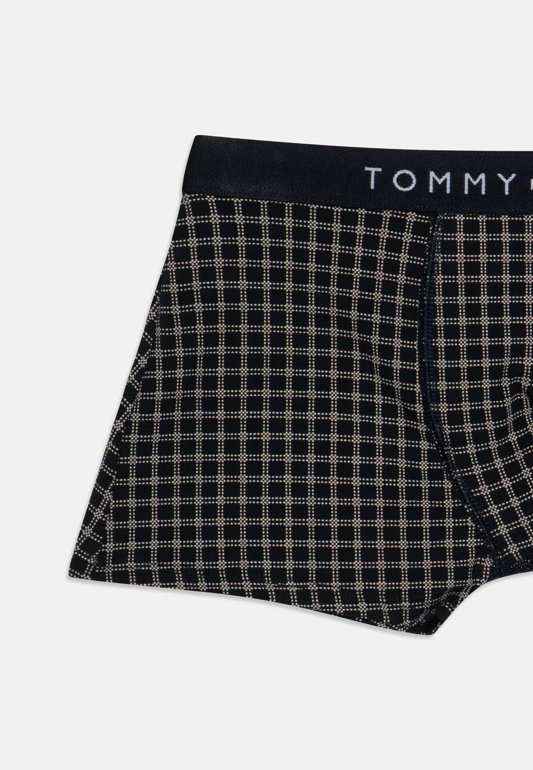 Tommy Hilfiger TRUNK PRINT PACK DE 2 - Culotte