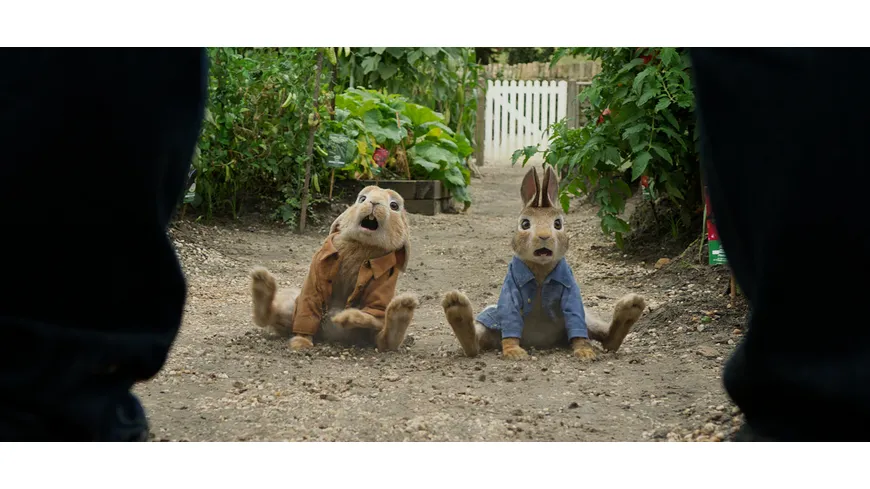 Peter Hase