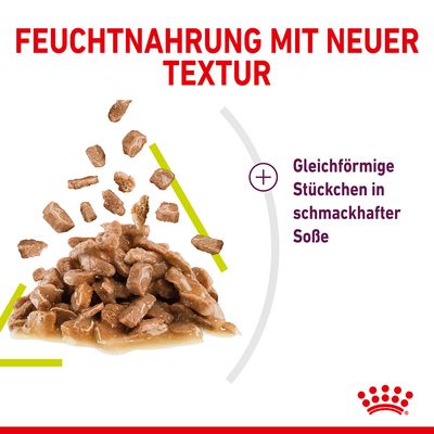 Royal Canin Sensory Smell in Soße