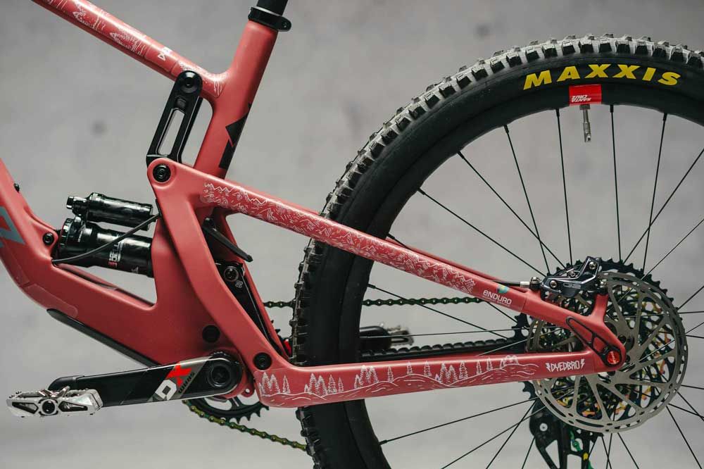 DYEDBRO EWS Mountains Rahmenschutz Kit kaufen | Bike-Discount