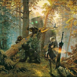 Würfelschale Nier