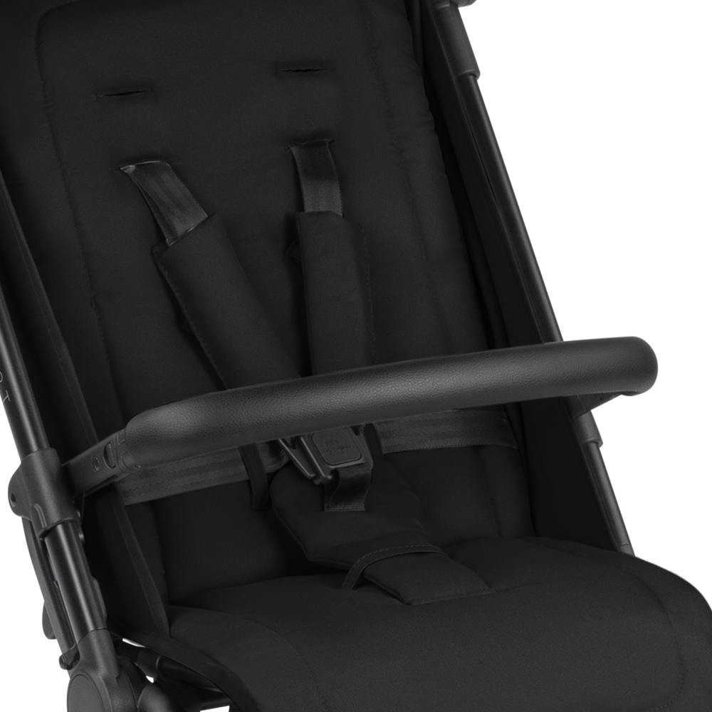 Buggy Ping 2 Trekking ink
