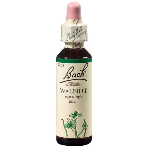 BACHBLÜTEN Walnut Tropfen  20 ml  Tropfen
