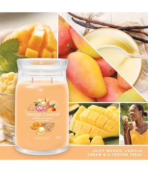 Yankee Candle Mango Ice Cream Signature Duftkerze-368 g
