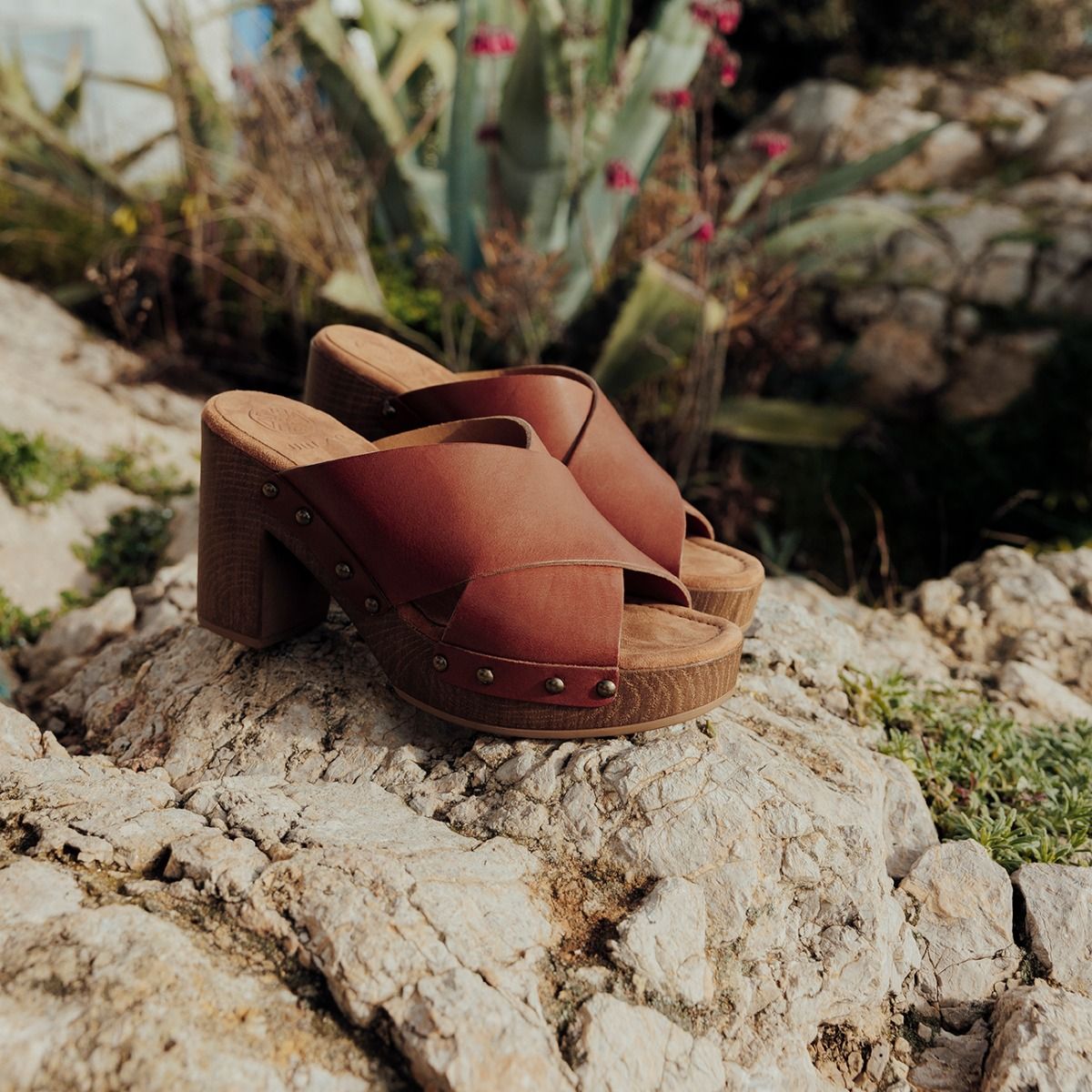 Unisa  TAPIA - Cognac