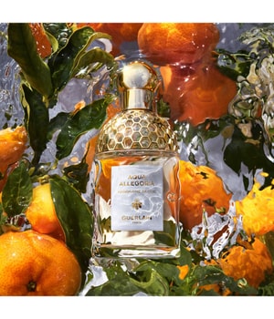 GUERLAIN Aqua Allegoria Mandarine Basilic Eau de Toilette 125 ml
