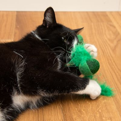 Katzenspielzeug Wagging Set