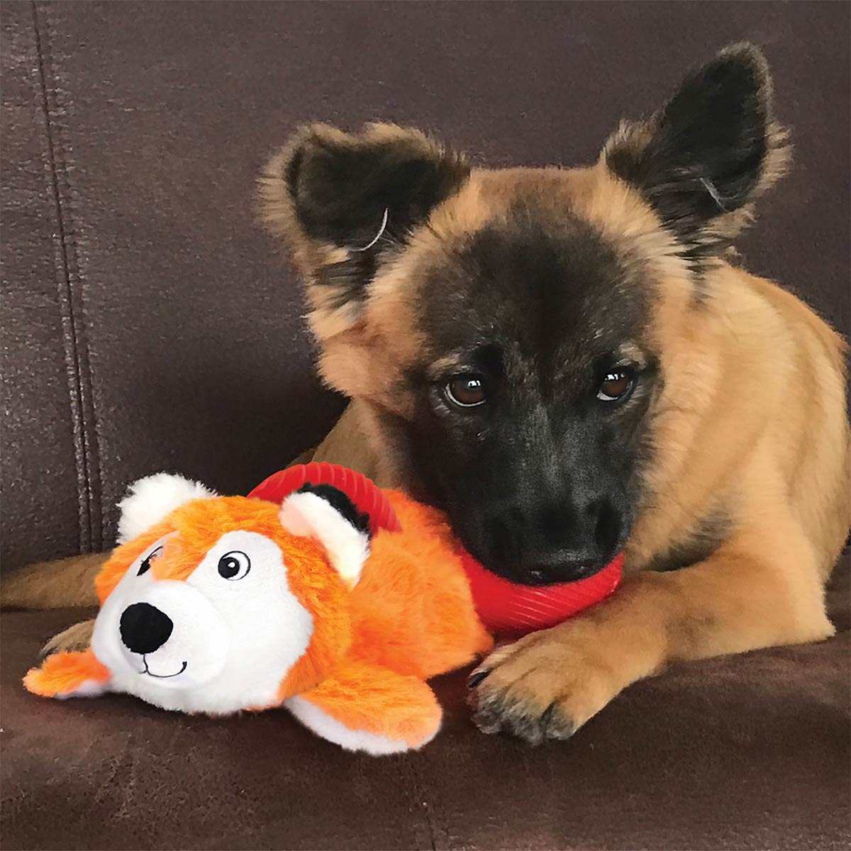 KONG Cozie Pocketz Fox günstig kaufen bei ZooRoyal