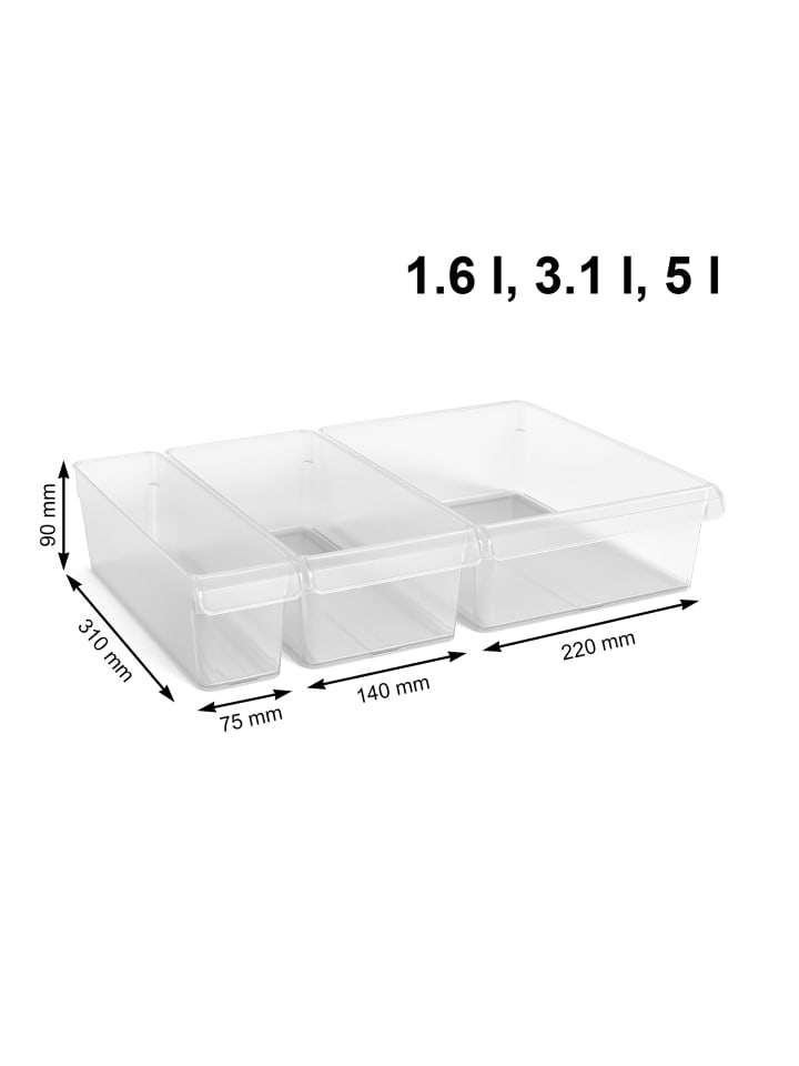 Rotho Loft 3er-Set Kühlschranksortierer in Transparent günstig kaufen onesize