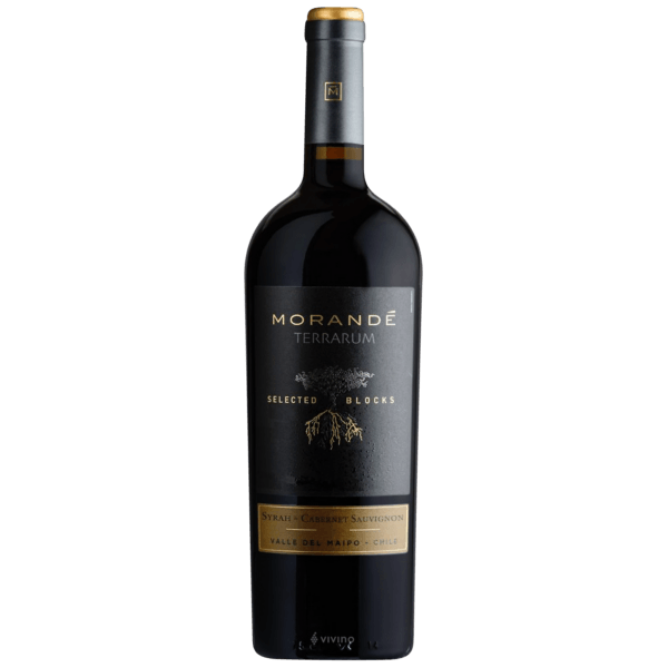 MorandéTerrarum Selected Blocks Syrah - Cabernet Sauvignon 2020