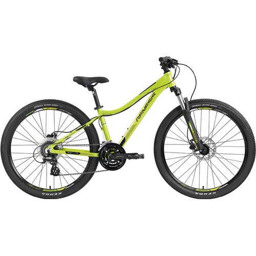 HERREN MOUNTAINBIKE GENESIS EVOLUTION JR26 DISC