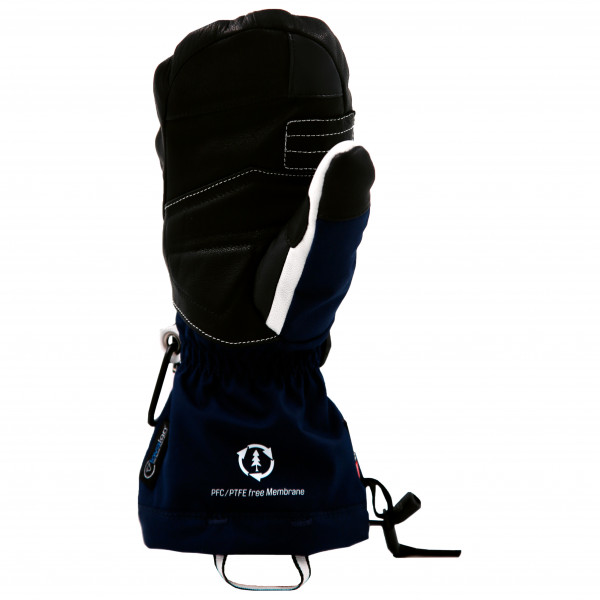 Snowlife - Women's Capricorn Dry-Tec Eco Mitten - Handschuhe