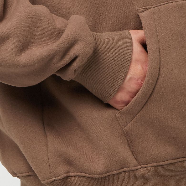 Pleasures Neural Hoodie brown