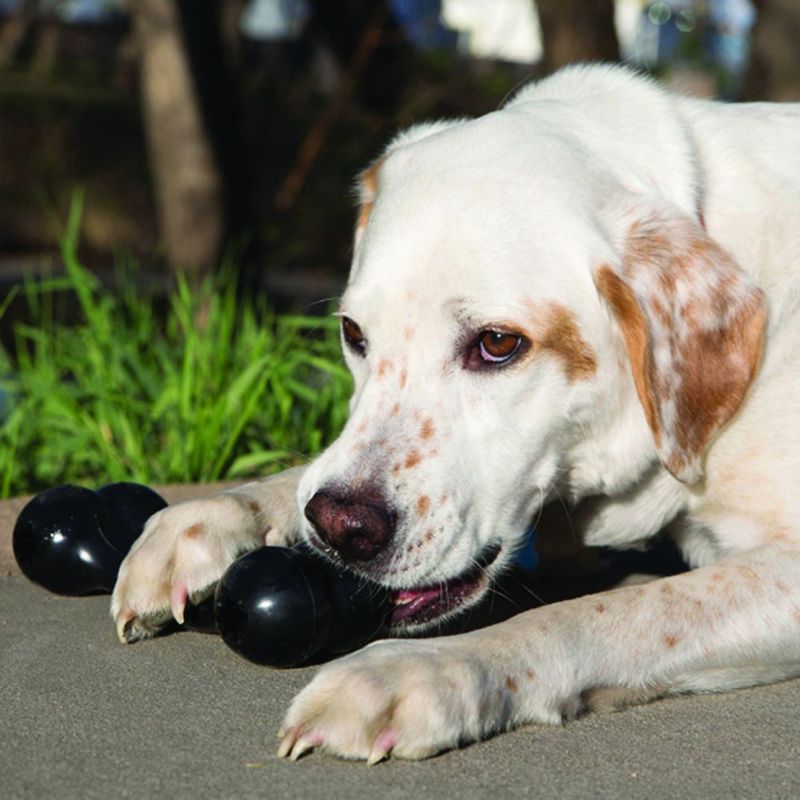 KONG Extreme Goodie Bone zu TOP-Preisen