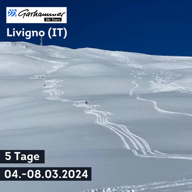 Erlebnis Freeride mit Guide Tour
