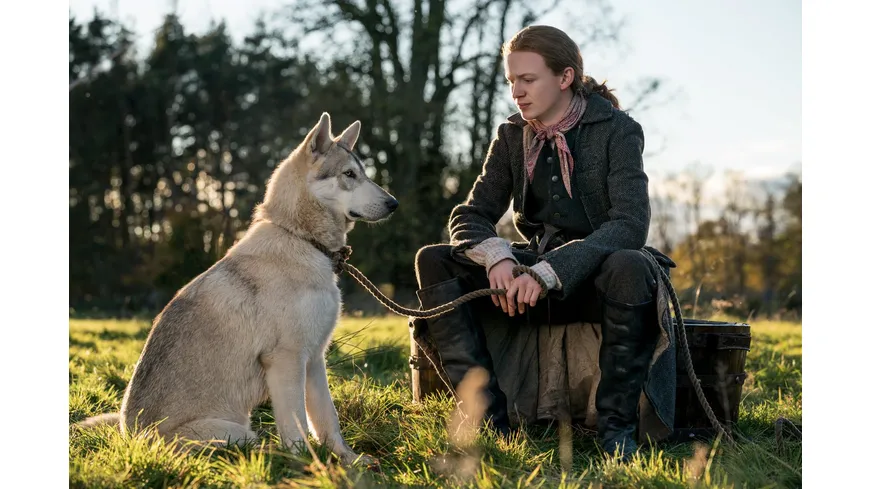 Outlander - Die komplette vierte Season  [5 DVDs]