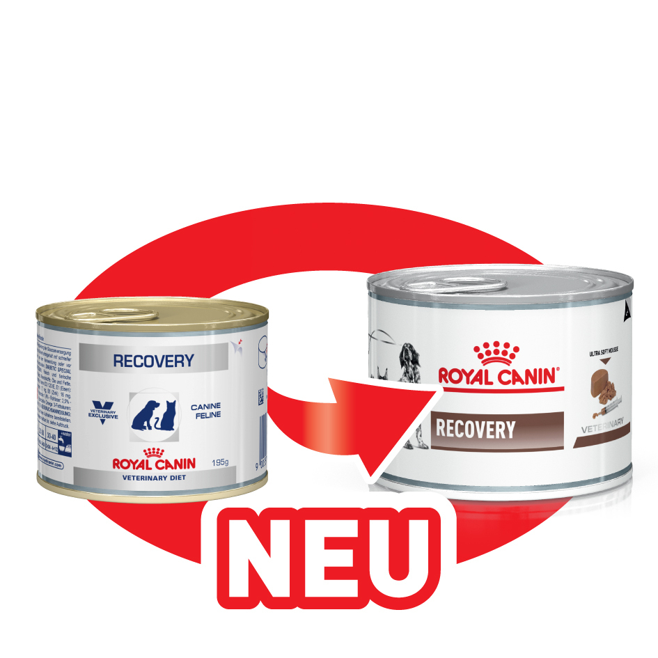 ROYAL CANIN Schonkost ROYAL CANIN Veterinary RECOVERY 12x195g