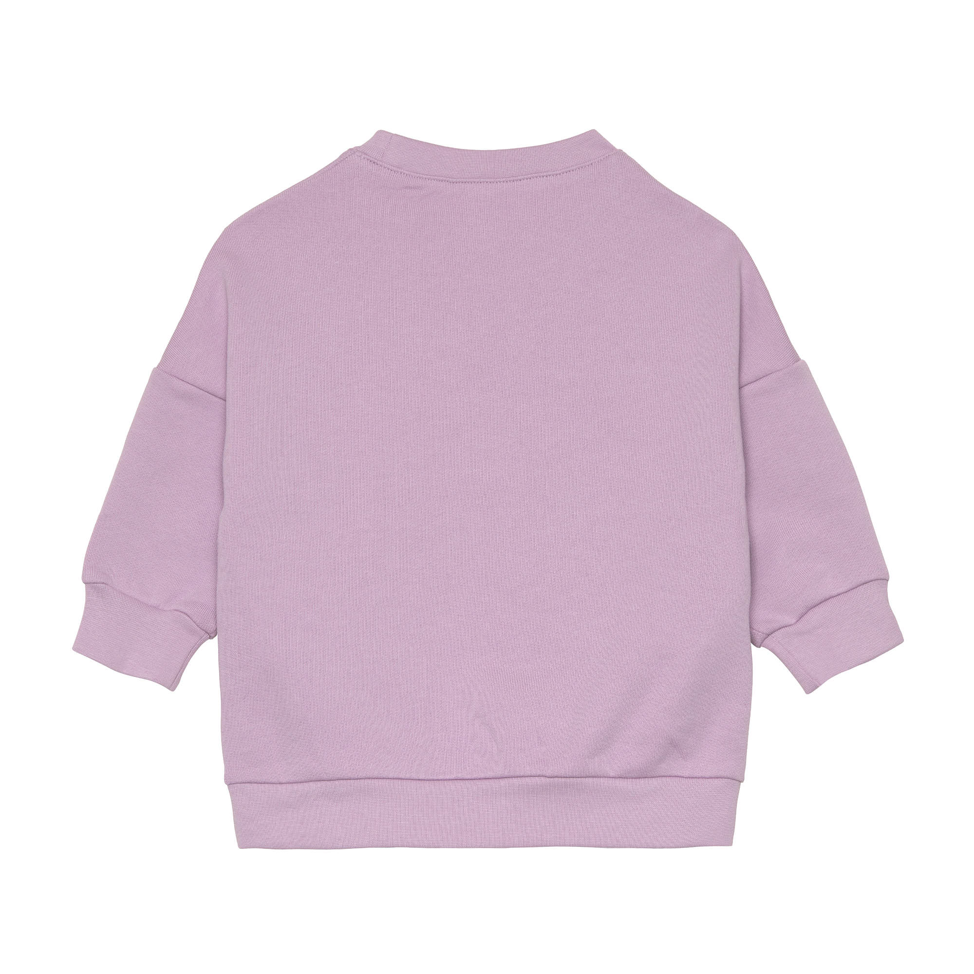 Kinder Pullover - Bio Baumwolle, Little Gang, Regenbogen Lila