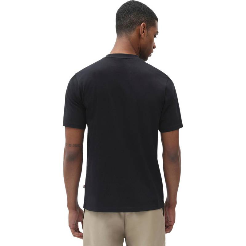 Dickies T-Shirt Herren