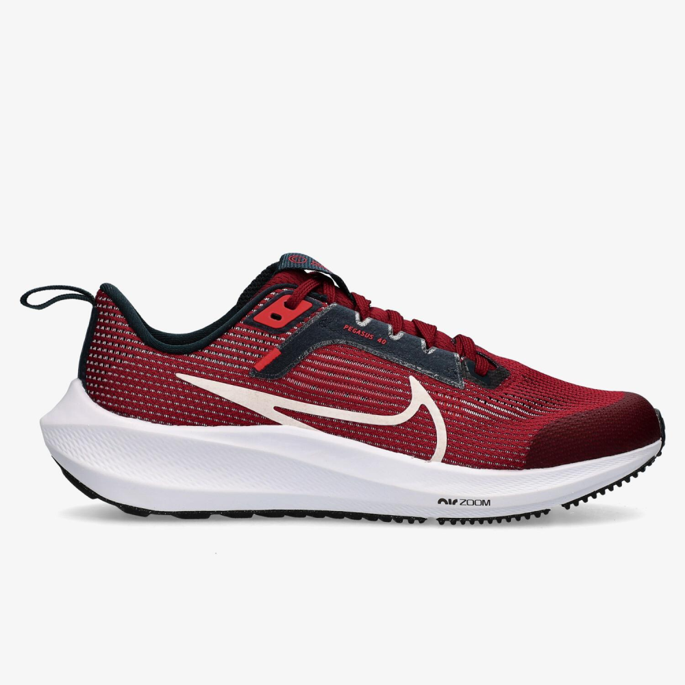 Nike Air Zoom Pegasus 40 DX2498-009 / grau