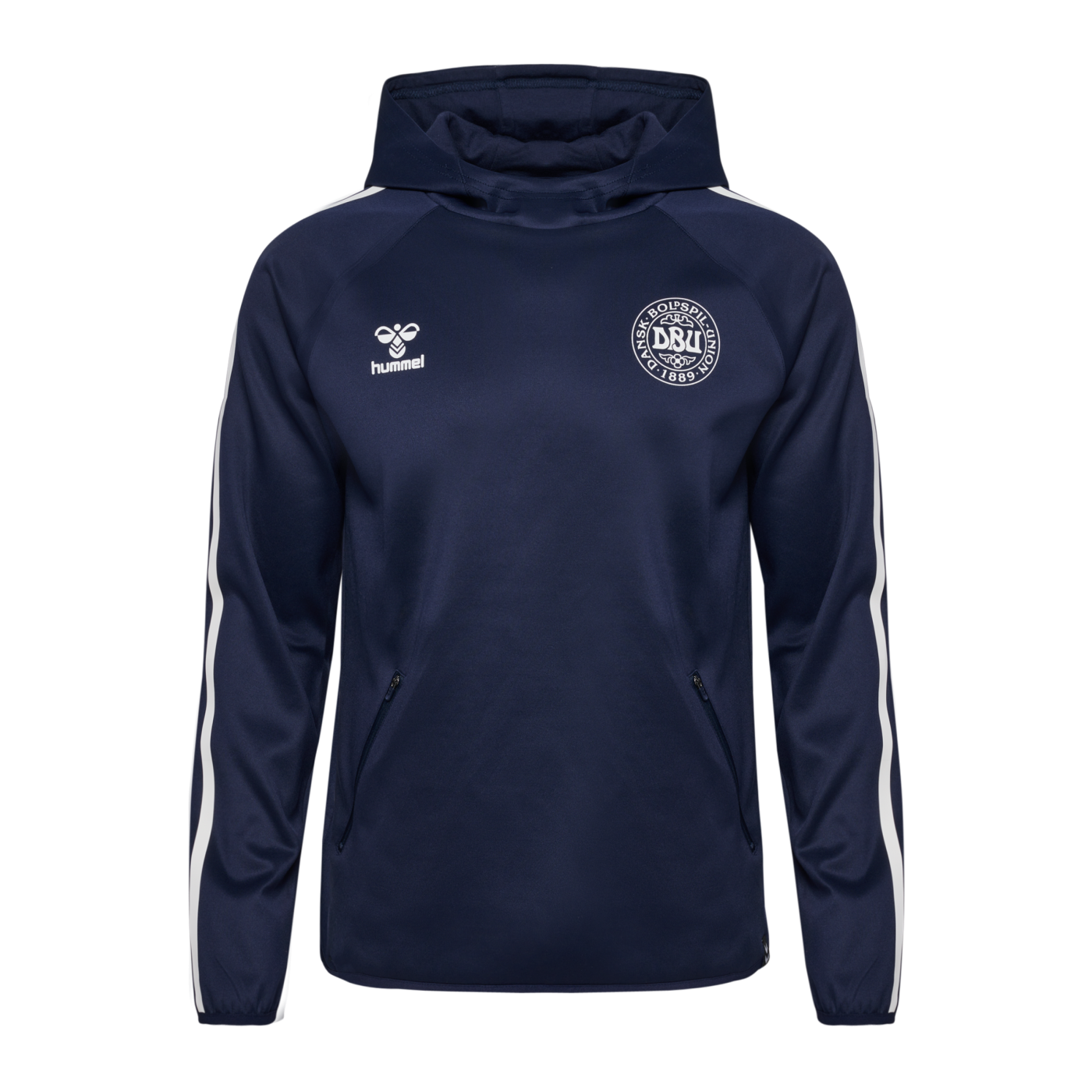 Hummel Dänemark Travel Hoody EM 2024 Blau F7026