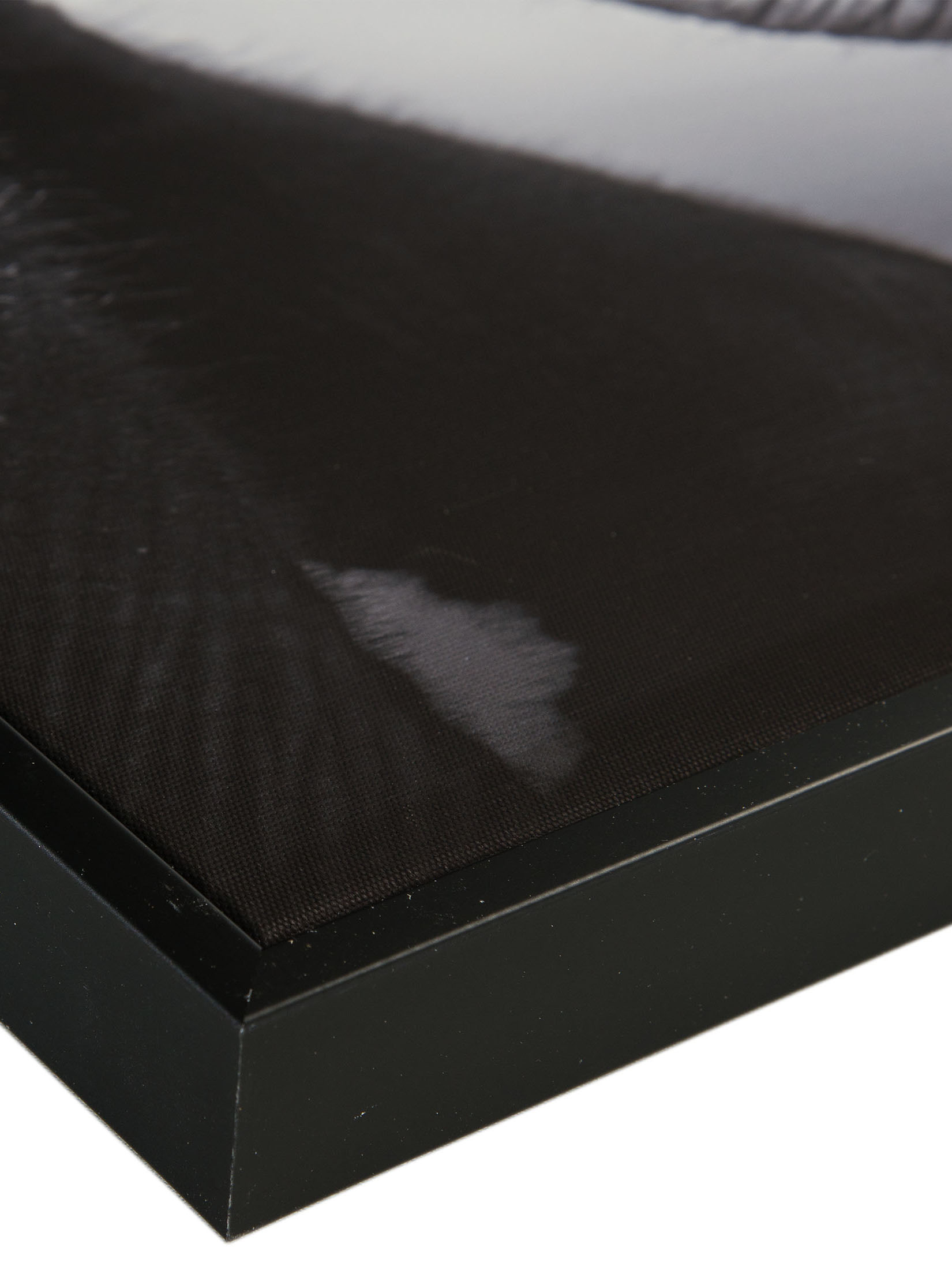 Elephant Baby Leinwand-Druck-gerahmt, Schwarz
