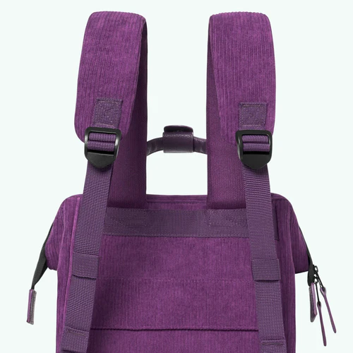 Adventurer Small Backpack, Nancy, purple