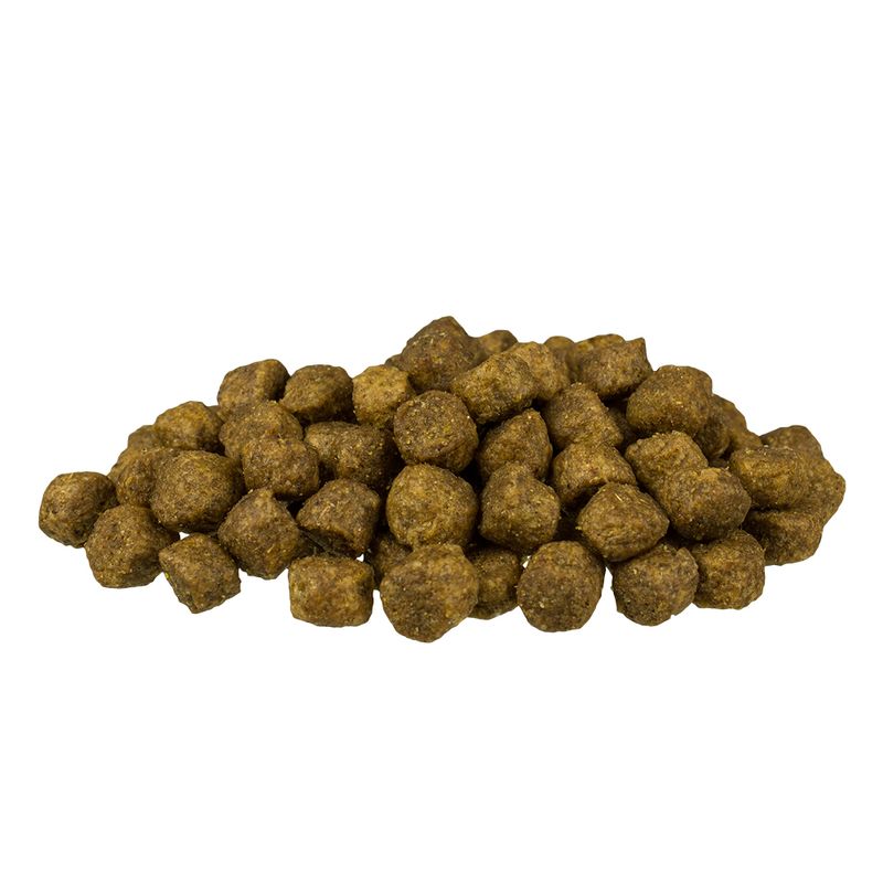 bosch Puppy Welpenfutter zu TOP-Preisen