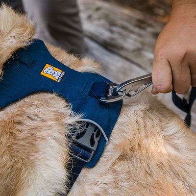 Ruffwear Front Range Hundegeschirr, Blue Moon