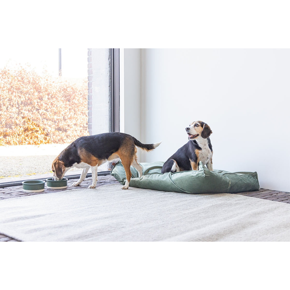 Designed by Lotte Hundekissen Nalino Samt Grün bei ZooRoyal