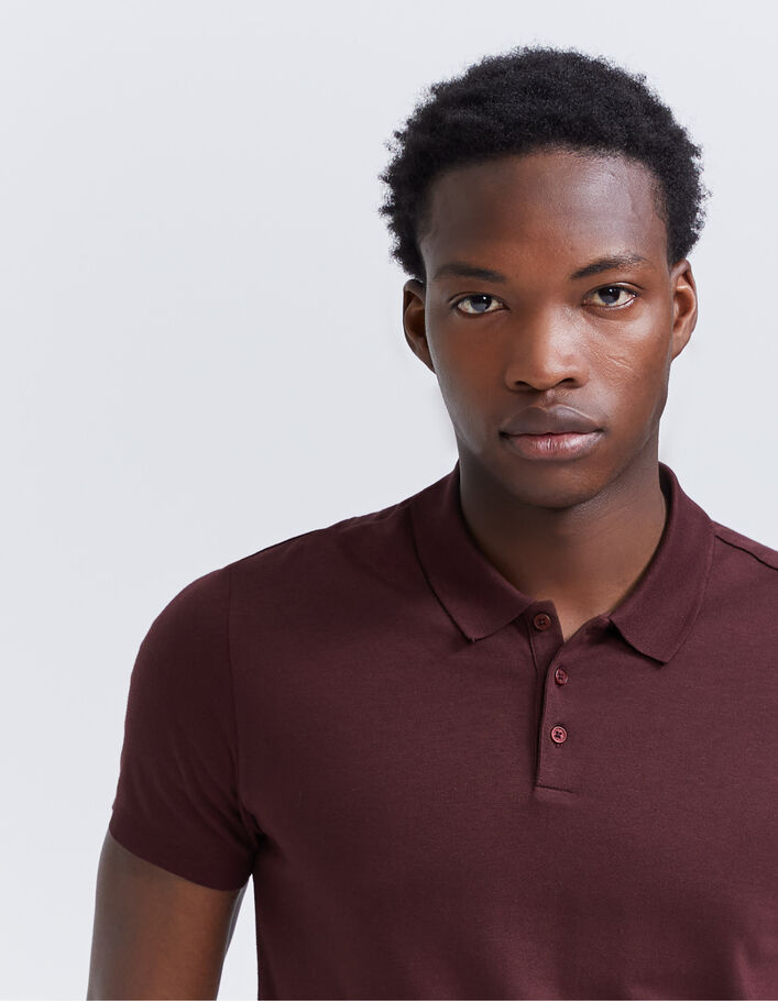 Polo burgundy coton modal Homme