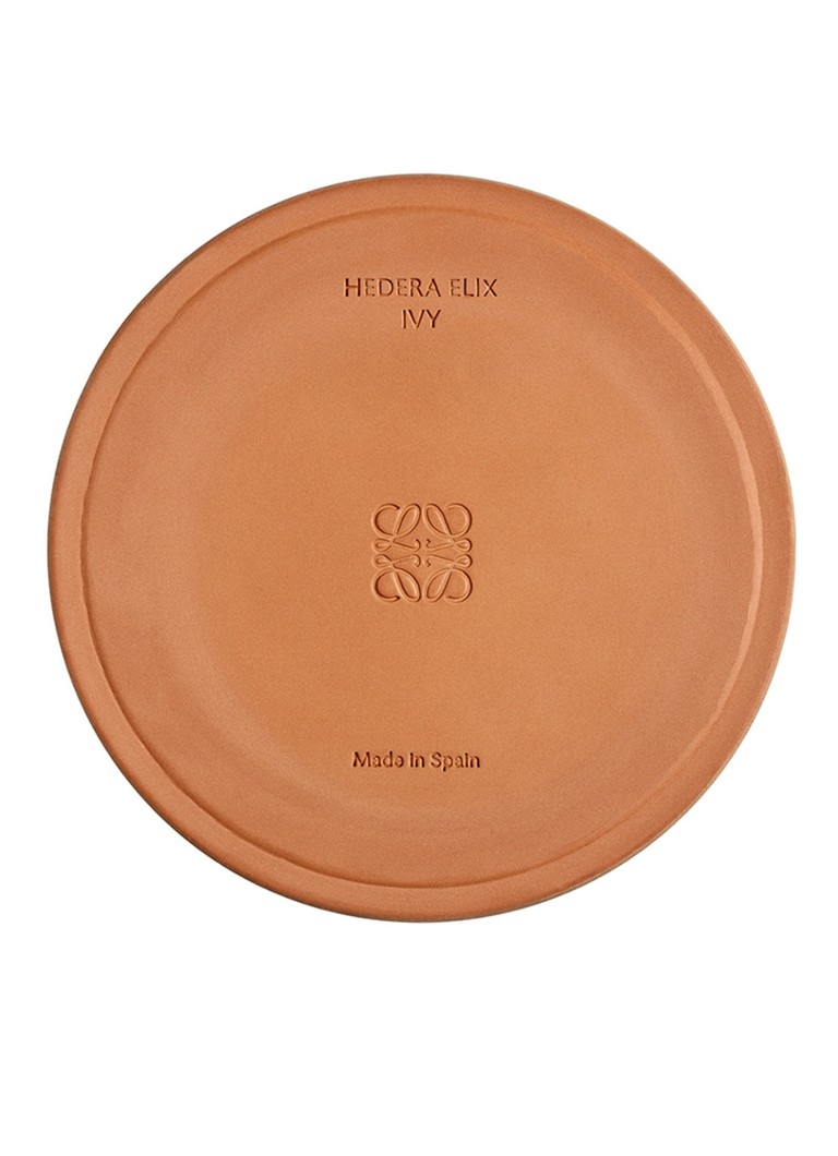 Lumânare parfumată mare cu aromă de iederă de la LOEWE - 2120 grame