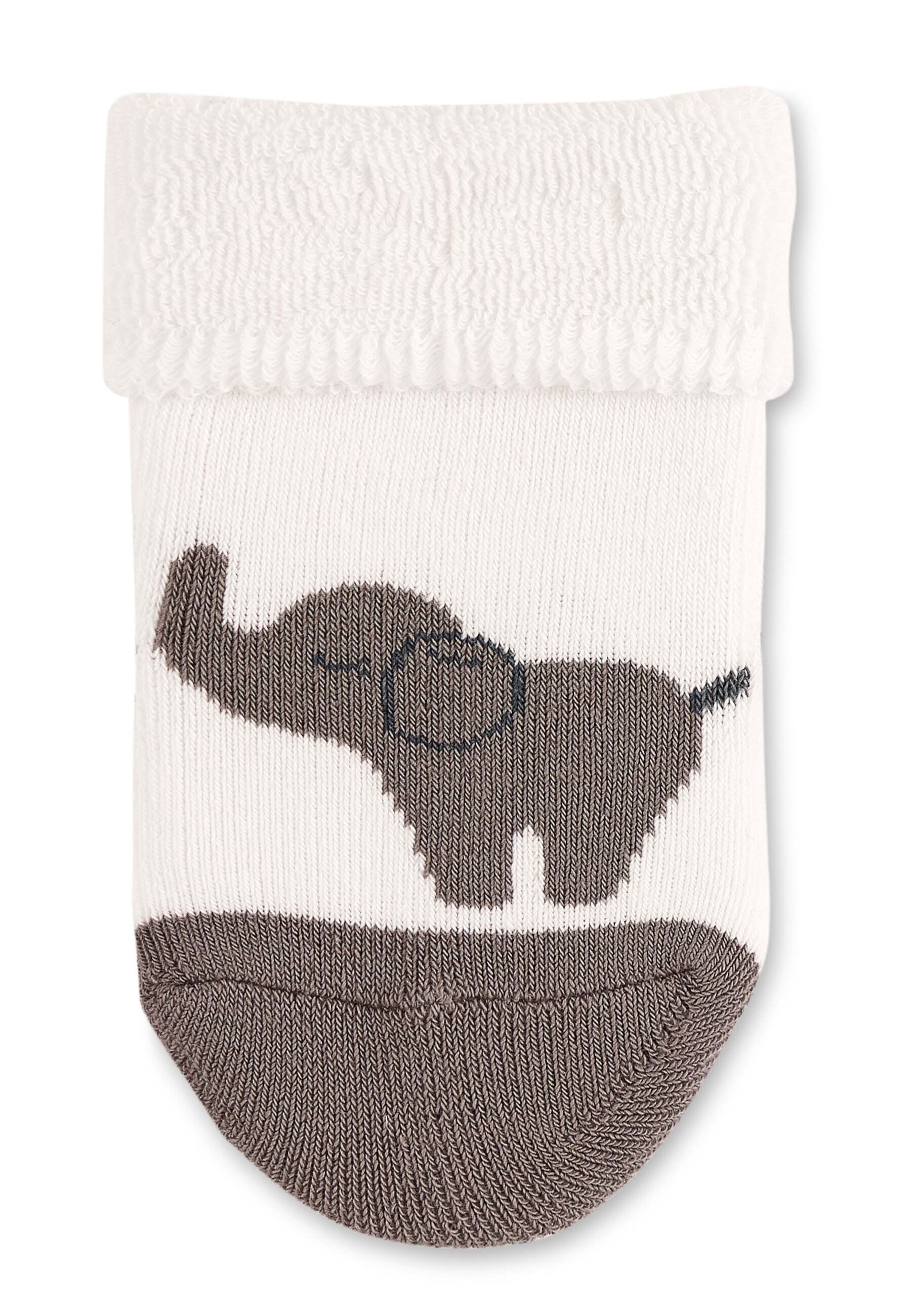 Baby-Socken mit Umschlag 2er-Pack Elefant Eddy