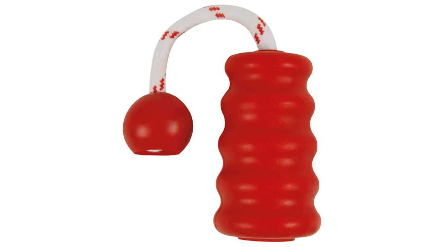 Trixie Dog Activity Aqua Toy MOT-Fun 9 cm Hundespielzeug
