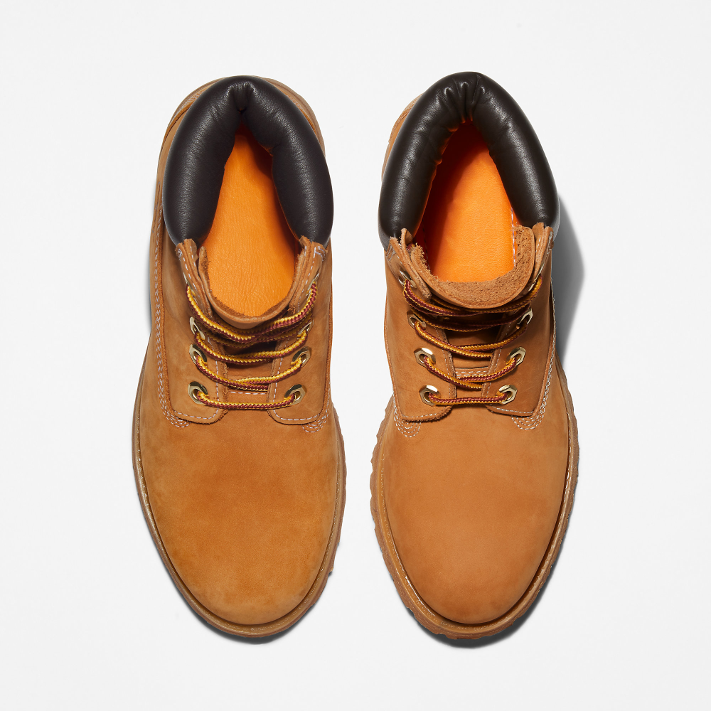 Timberland 6 Inch Premium Boot TB0103617131 / braun