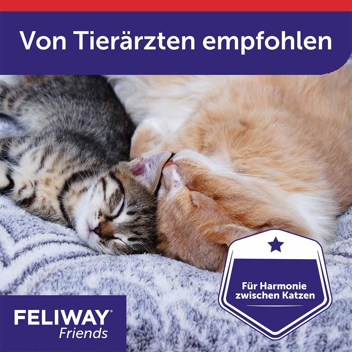 Feliway Friends 30-Tage Nachfüllflakon kaufen