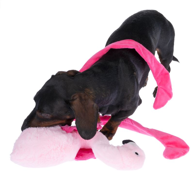TIAKI Lisa long-legs Flamingo Hundespielzeug