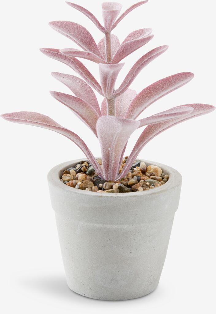 LOVE kunstig plante LOVE Ø7xH15cm assortert.