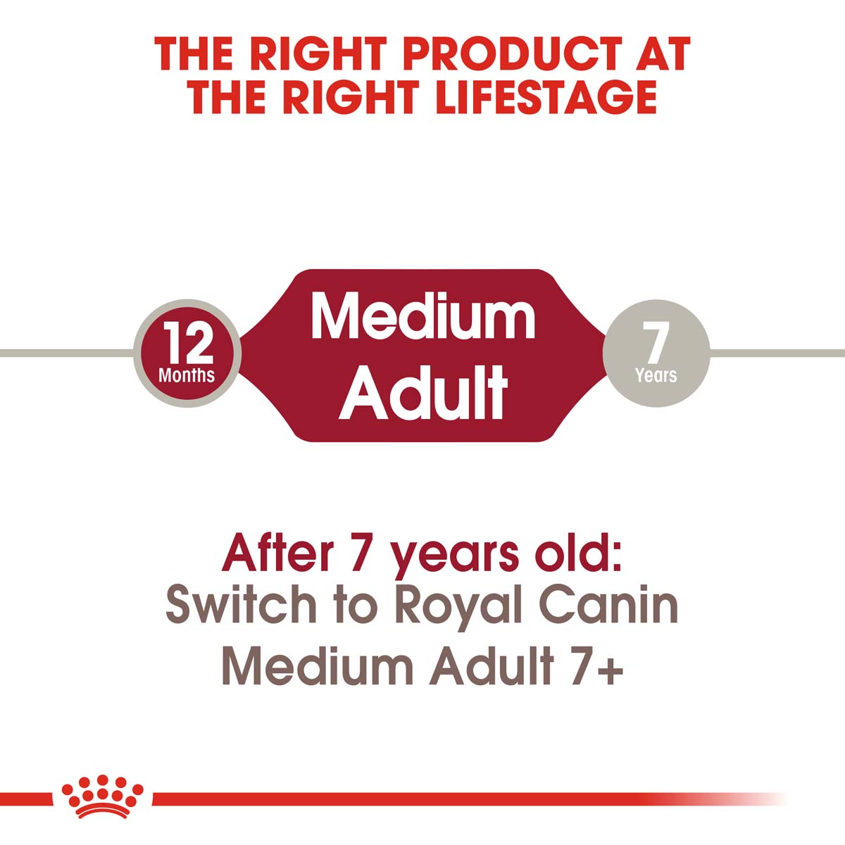 ROYAL CANIN MEDIUM Adult Trockenfutter für mittelgroße Hunde