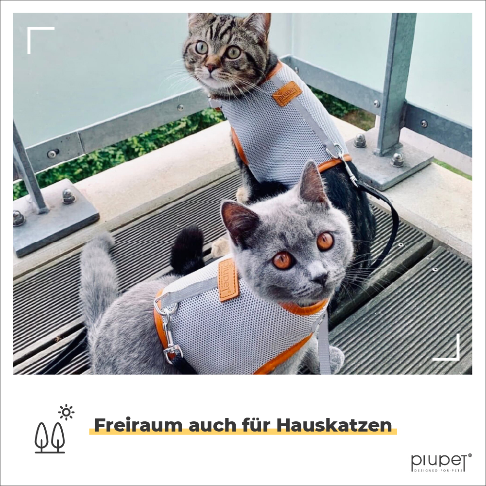 PIUPET Geschirre & Leinen PIUPET Katzengeschirr S