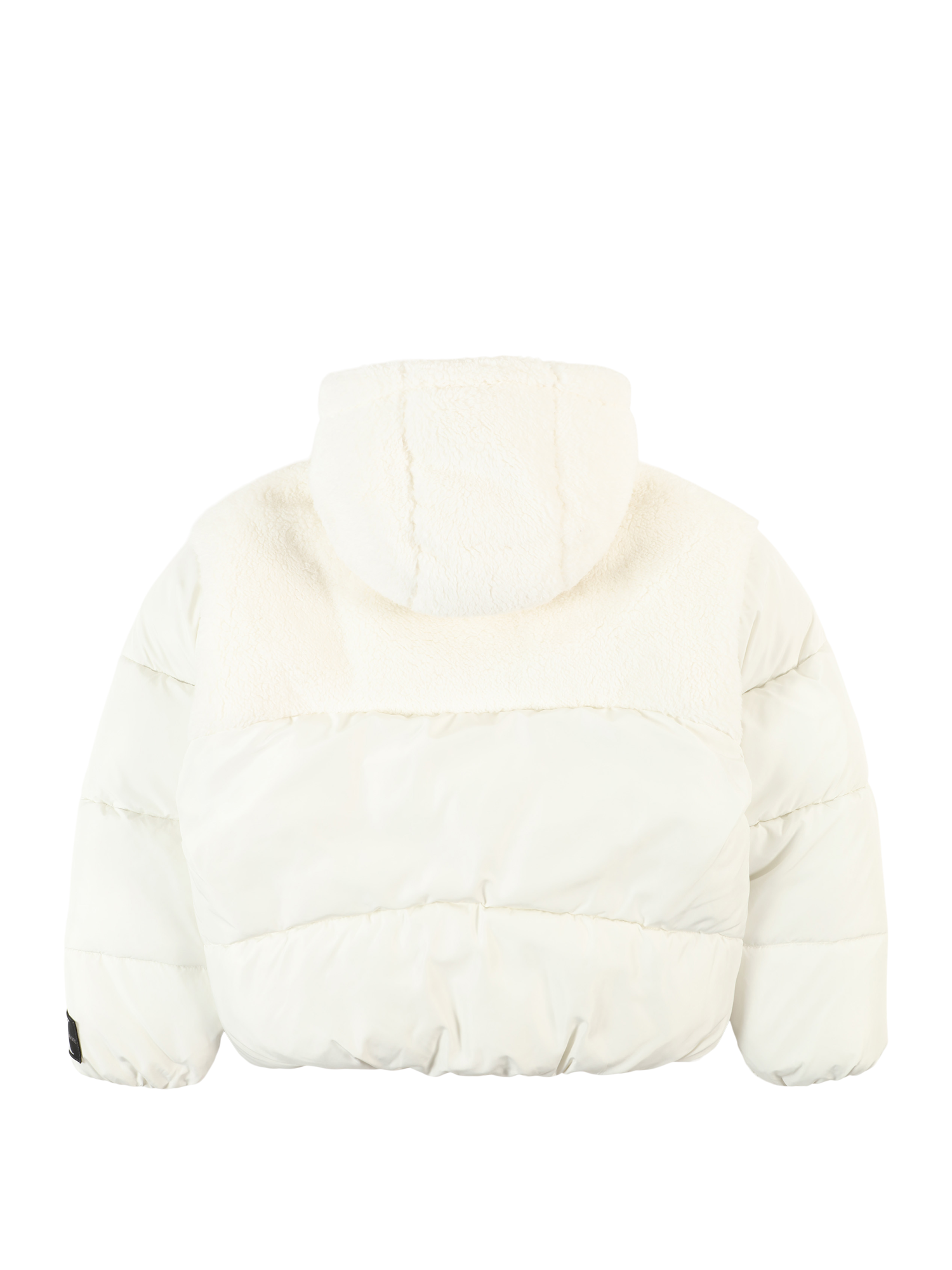 Winter Jacket