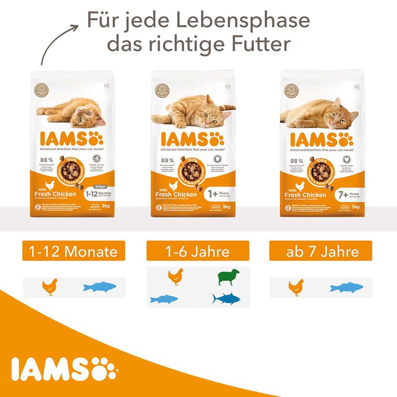 IAMS Advanced Nutrition Kitten mit Frischem Huhn