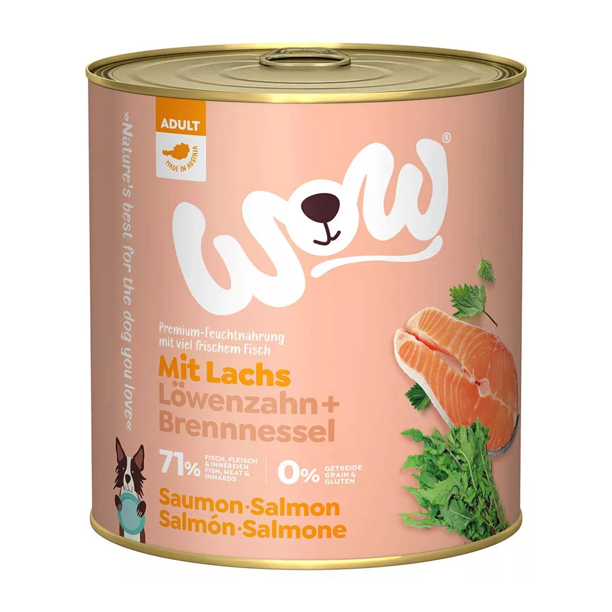 WOW Adult Lachs mit Löwenzahn und Brennnessel kaufen bei ZooRoyal