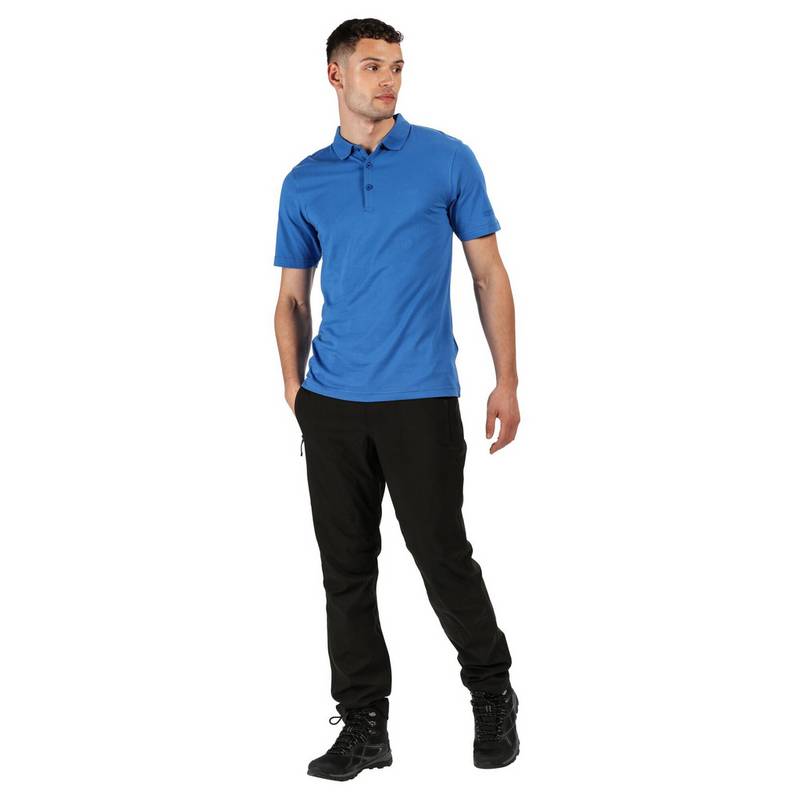 Regatta Sinton Poloshirt Herren