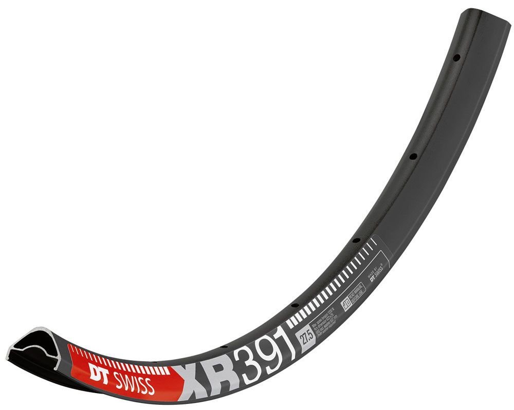 DT Swiss XR 391 29