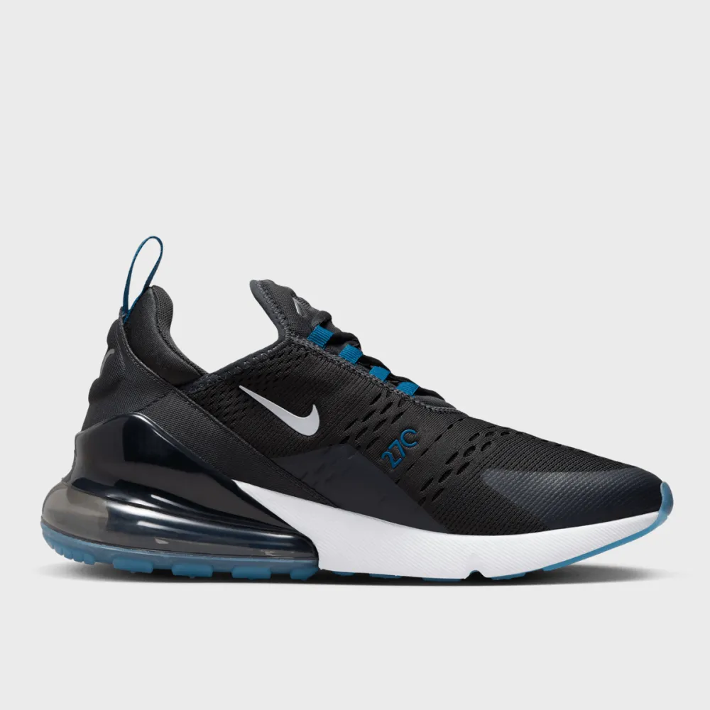 Nike Air Max 270 FV0380-001 / grau