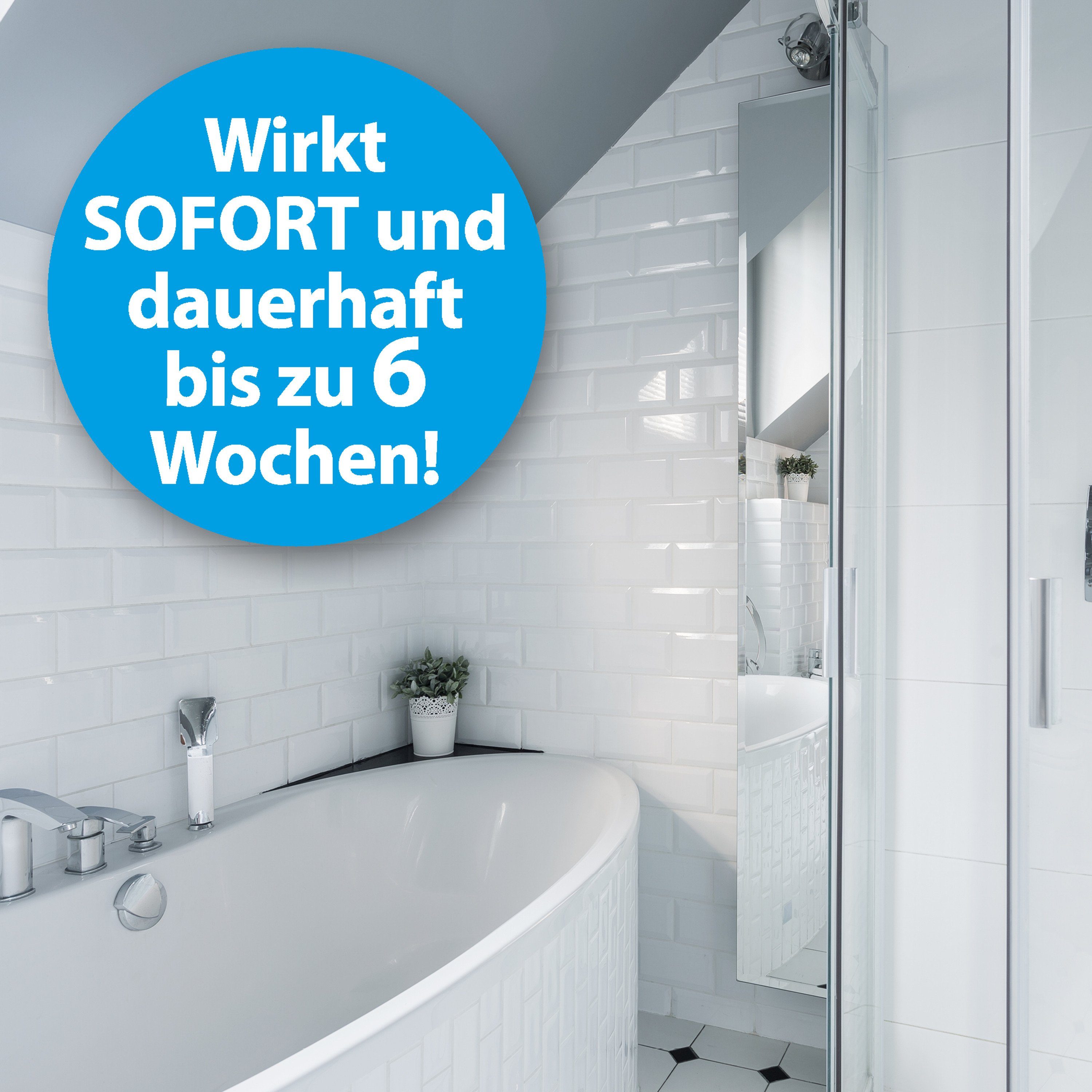 Ardap Insektenspray ARDAP® Silberfischchen Spray Insektizid mit Sofort- und Langzeitwirkung bis zu 6 Wochen 400ml