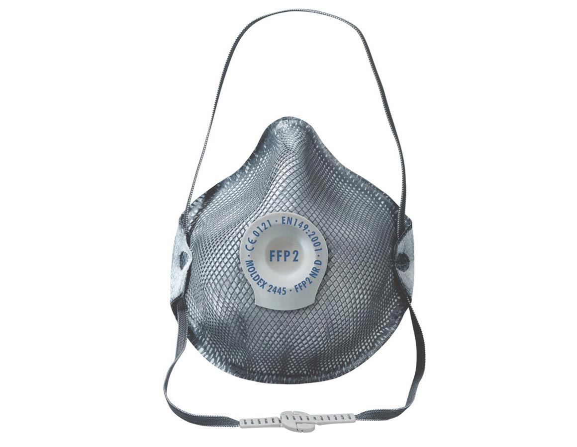 Moldex Atemschutzmaske 2445, FFP2 NR D, 10 Stk