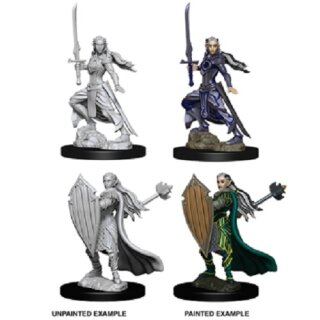 Female Elf Paladin: Nolzurs Marvelous Unpainted Miniatures